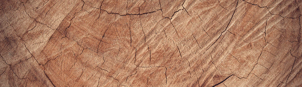 Solid Wood